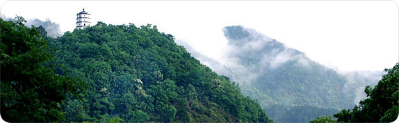 The scenery of shuangyang town